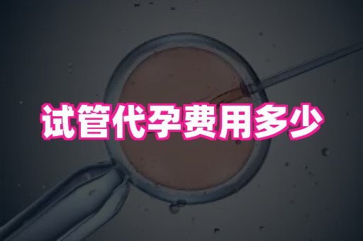 福建助孕网站 3